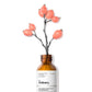 100% Organic Cold-Pressed Rose Hip Seed Oil